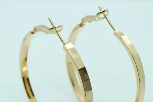 Κύρια εικόνα: Shiny Hoops